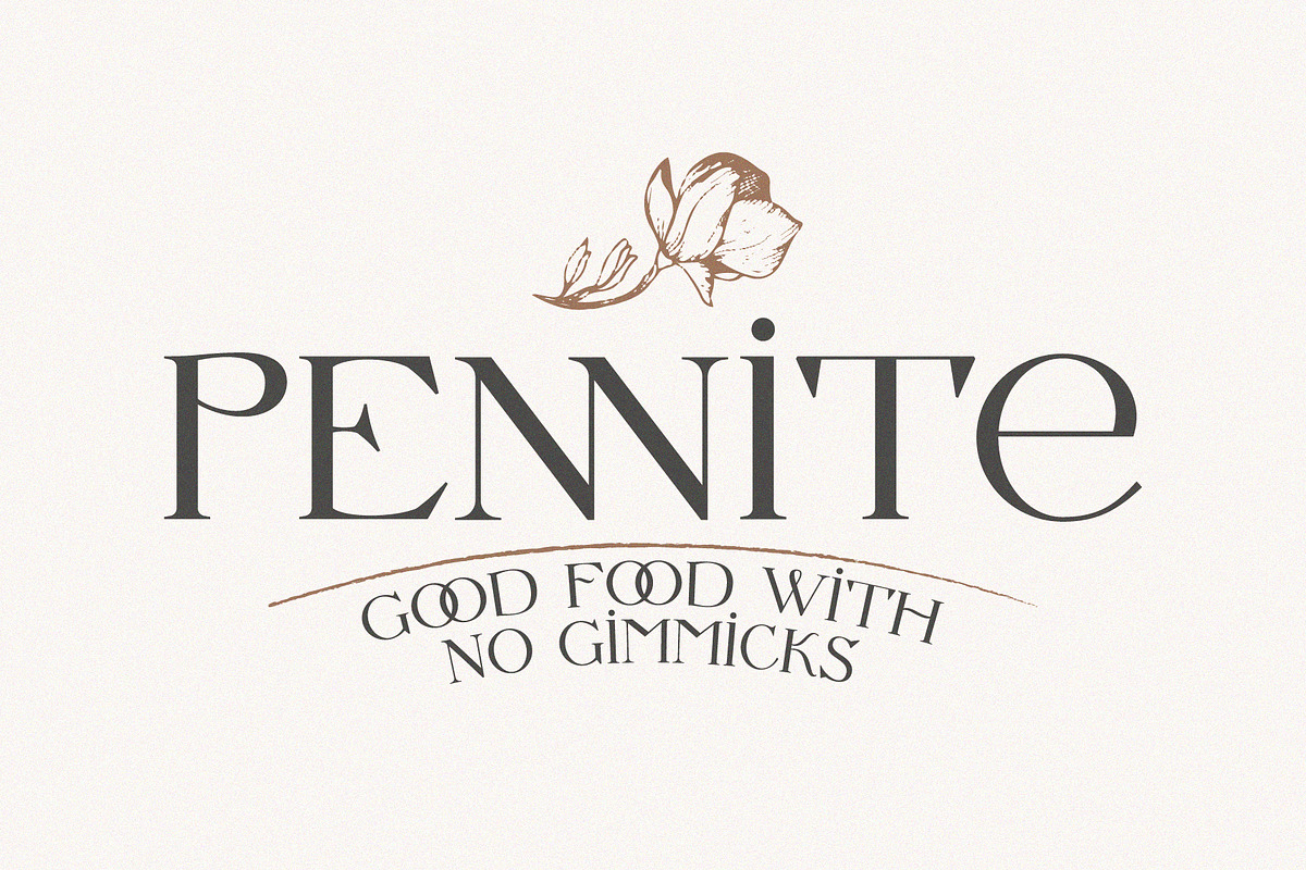 Letterature ligature serif font, a Serif Font by kaer_shop (Photo 4 of 12)