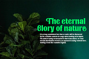 Internal Display, a Sans Serif Font by Typehill (Thumbnail 7 of 10)