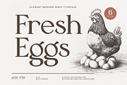 Fresh Eggs - Serif Farmhouse Font, a Serif Font by ariodsgn