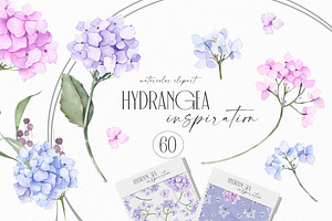 Hydrangea inspiration watercolor set, an Object Illustration by ArtMaslyana