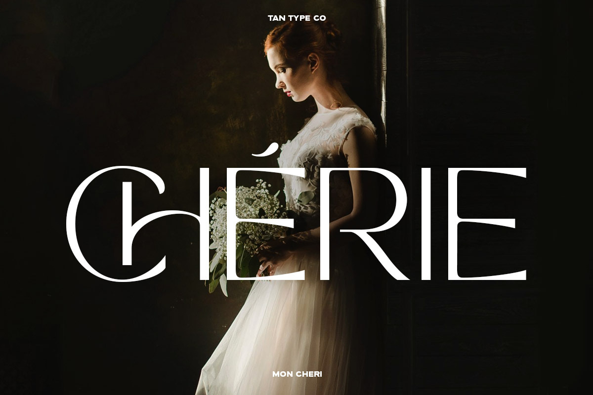 TAN - MON CHERI, a Sans Serif Font by TanType (Photo 11 of 23)