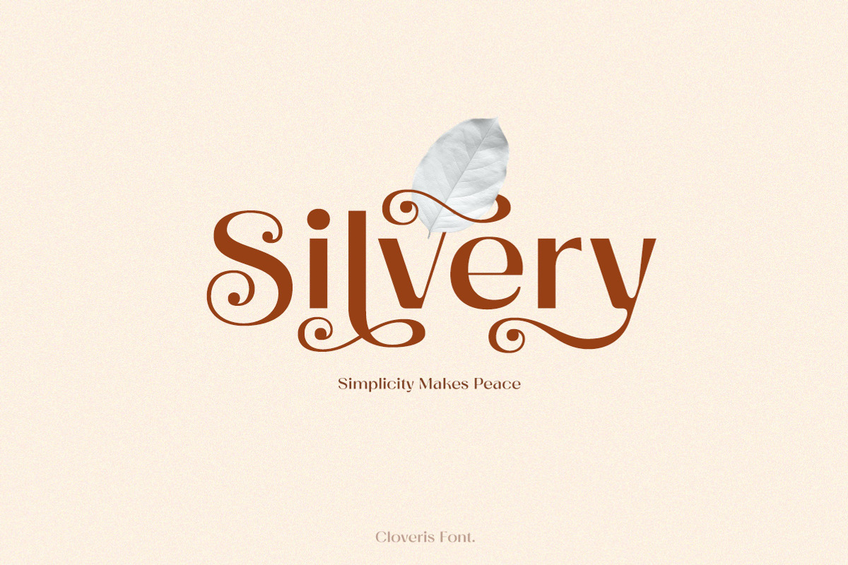 Cloveris - Stylish Sans Serif Font, a Font by Letterhend Studio (Photo 9 of 10)