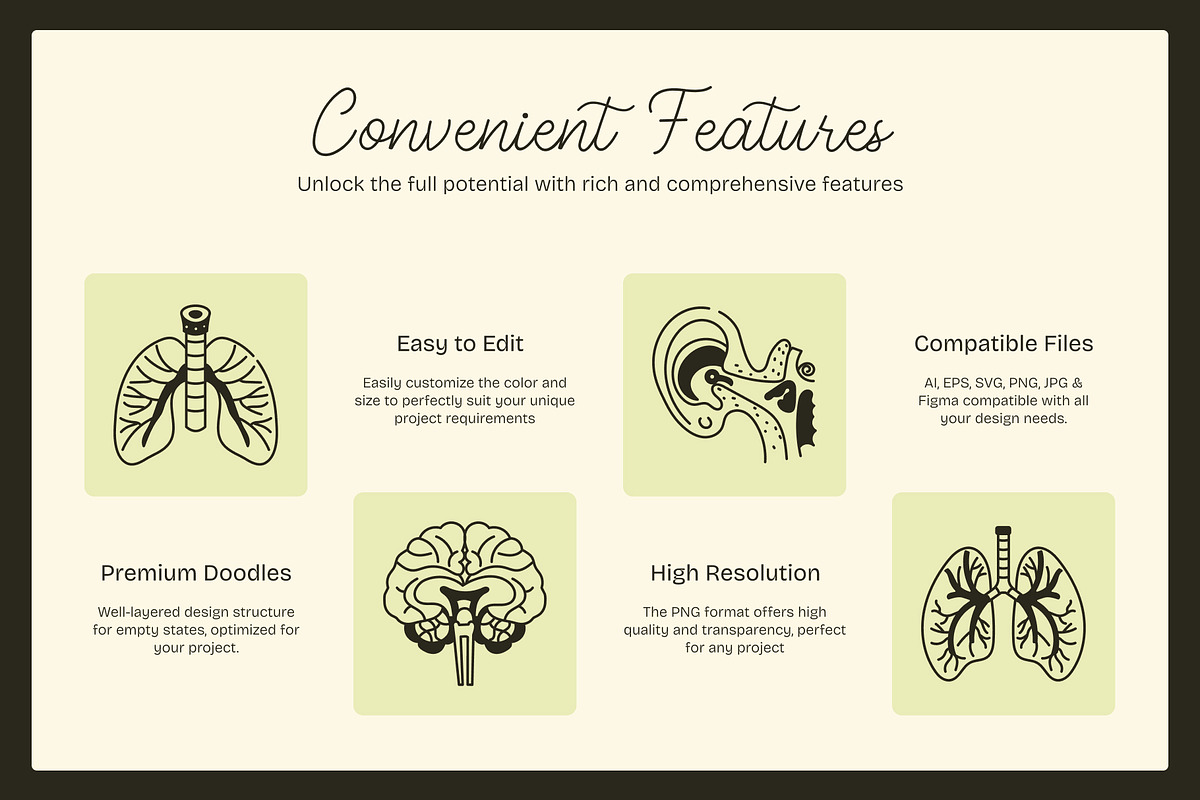 Anatomy Drawing Illustration, an Outline Icon by Vectors Market (Photo 2 of 8)