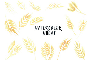 Watercolor Wheat