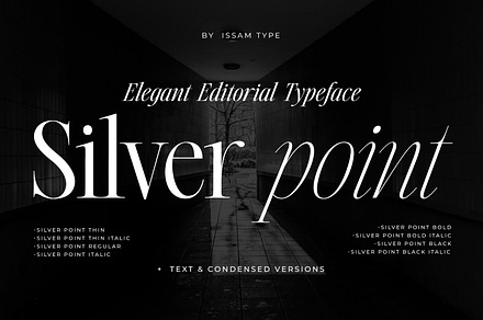 Silver Point–Elegant Editorial Serif, a Serif Font by Issam Type