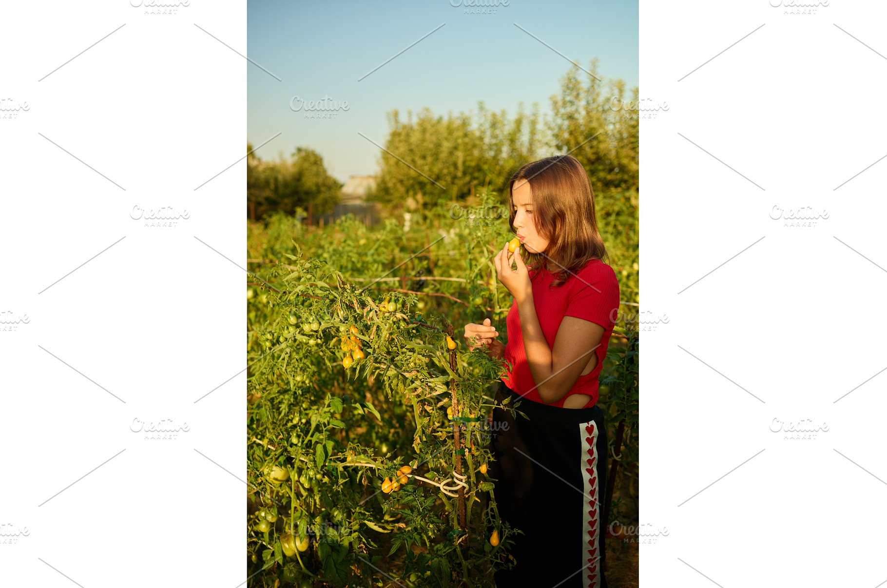 Girl eats tomatoes in a garden, a Nature Photo by IlliaBondarPhotography