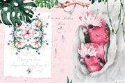 Tropical Wildlife Watercolor set, an Illustration by Ann Art Houze (Thumbnail 3 of 13)