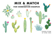 Watercolor Succulents and Cactus, an Illustration by Erika Firm (Thumbnail 3 of 5)