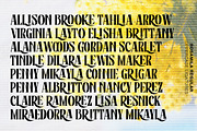 Rosamila Display, a Serif Font by Stripes Studio (Thumbnail 6 of 11)