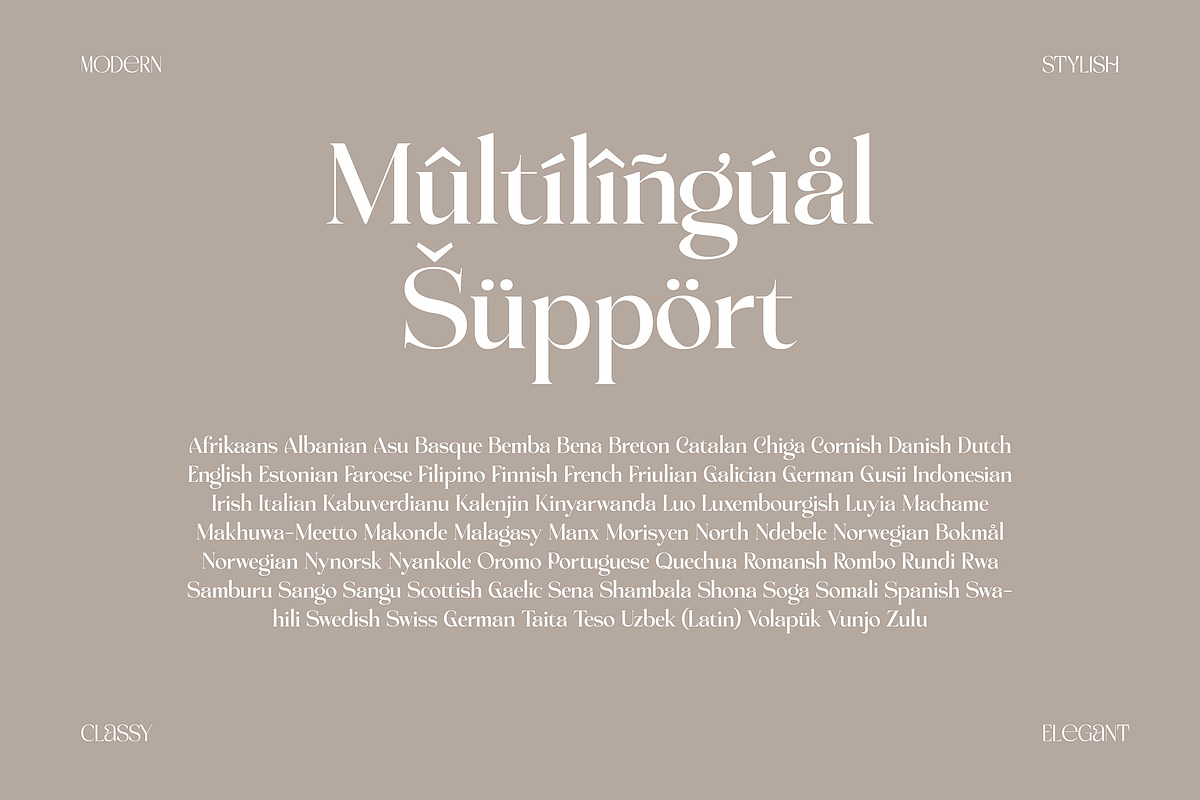 Achroma Editorial, a Serif Font by Megatype (Photo 8 of 9)