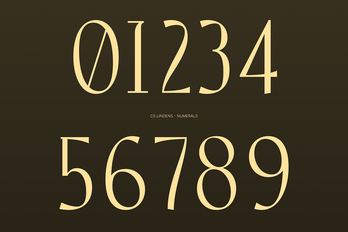 CS Lindens – Aesthetic Font, a Sans Serif Font by Craft Supply Co. (Photo 2 of 8)