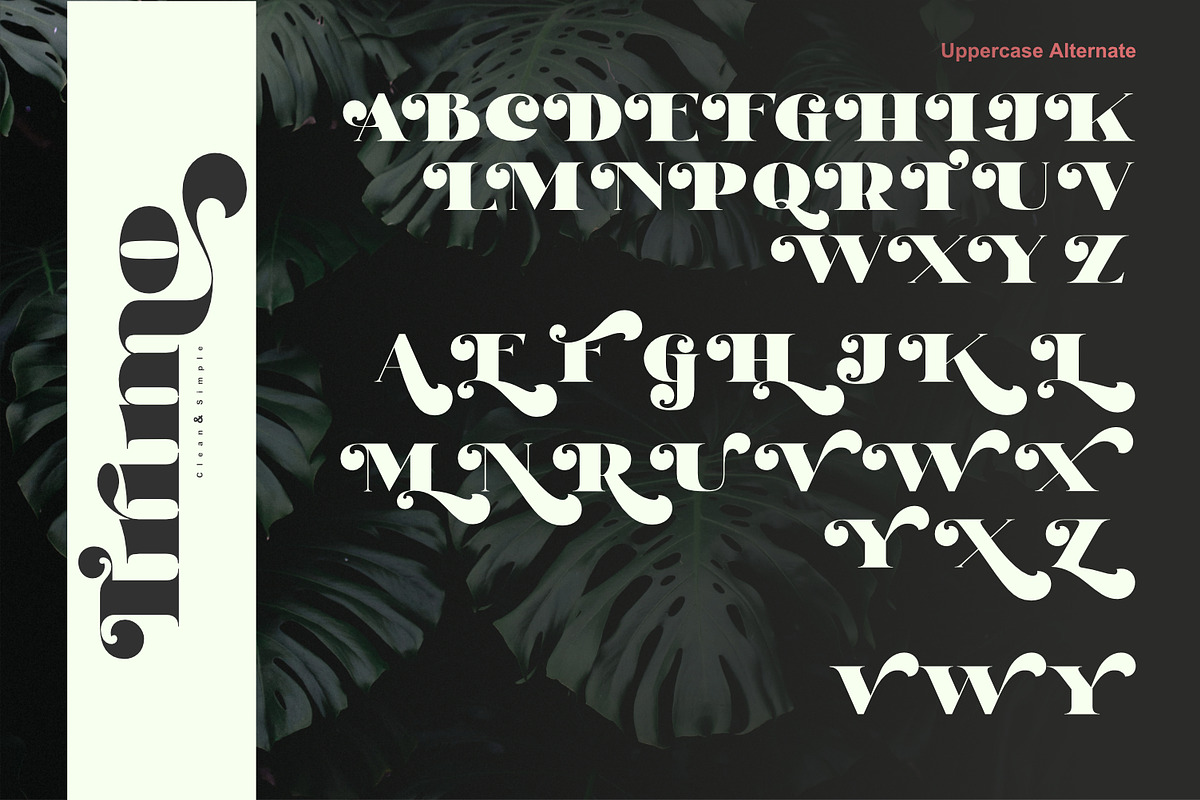 Trimo, a Serif Font by Khoir (Photo 10 of 12)