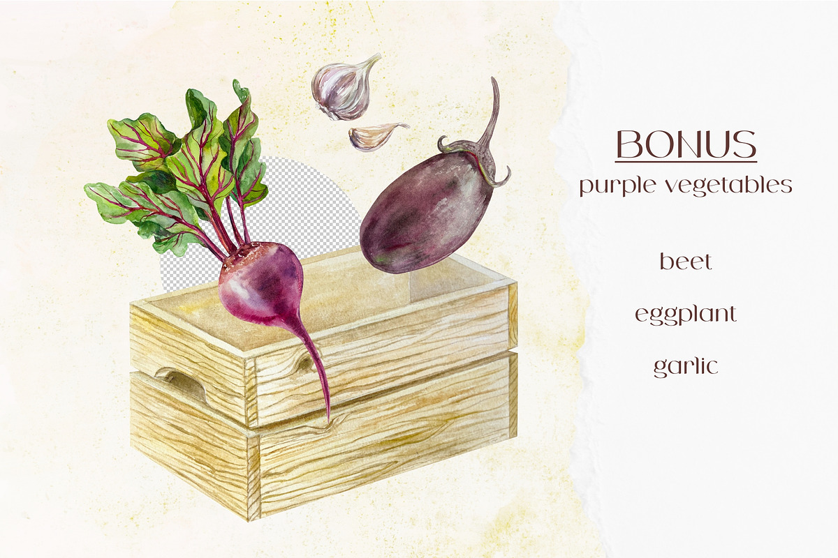 Vegetables Watercolor clip art, a Food Illustration by Farida Bik (Photo 12 of 12)