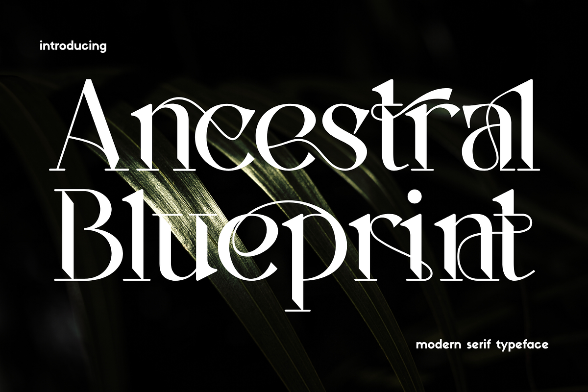Ancestral Blueprint - Elegant Font, a Serif Font by 177Studio (Photo 1 of 8)
