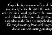 Capricho, a Serif Font by Hoftype (Thumbnail 5 of 14)