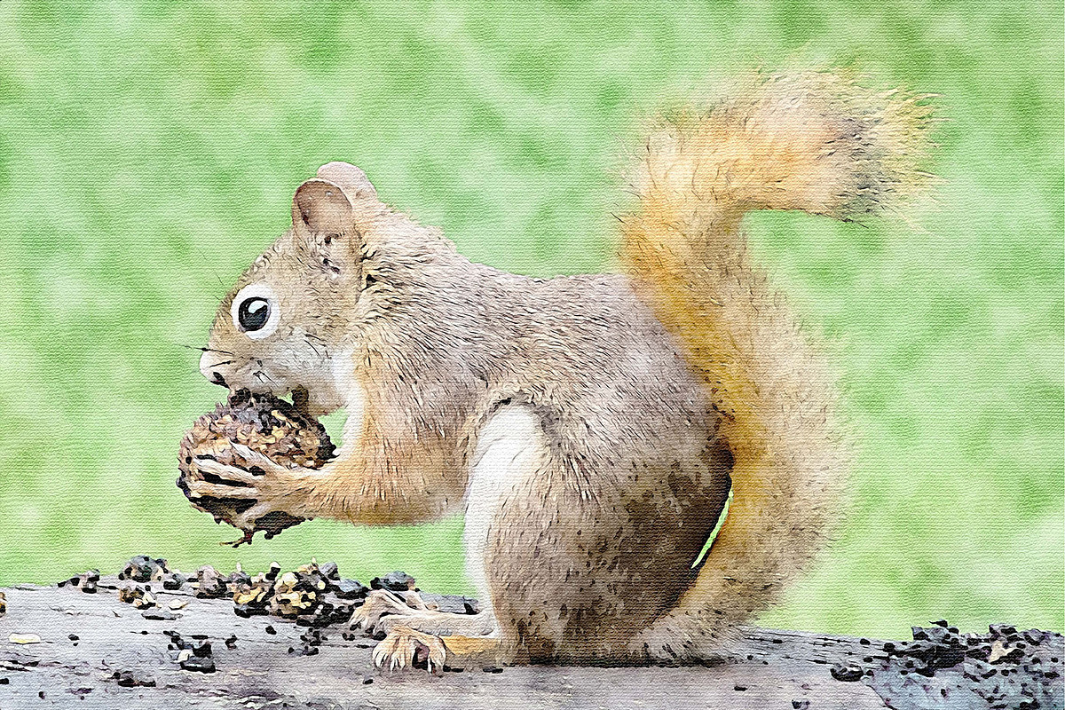 Editable Photoshop Photo Effect, an Action Add-On by Photoshop Action (Photo 2 of 9)