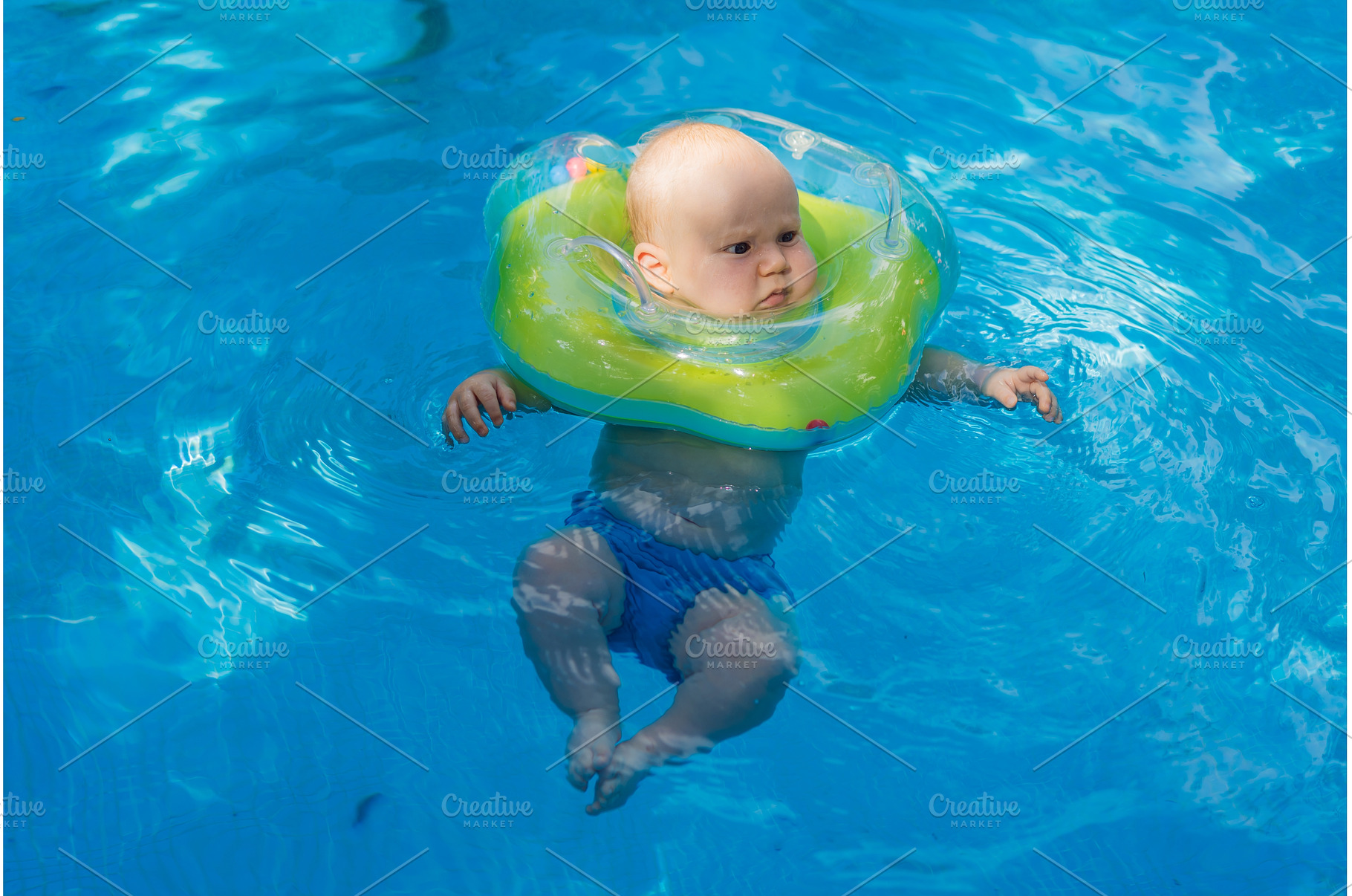 Baby swimming independently in a, a Nature Photo by Elizaveta Galitskaya