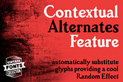 Ruiz - 2 vintage fonts, a Serif Font by Leitmotif (Thumbnail 3 of 4)