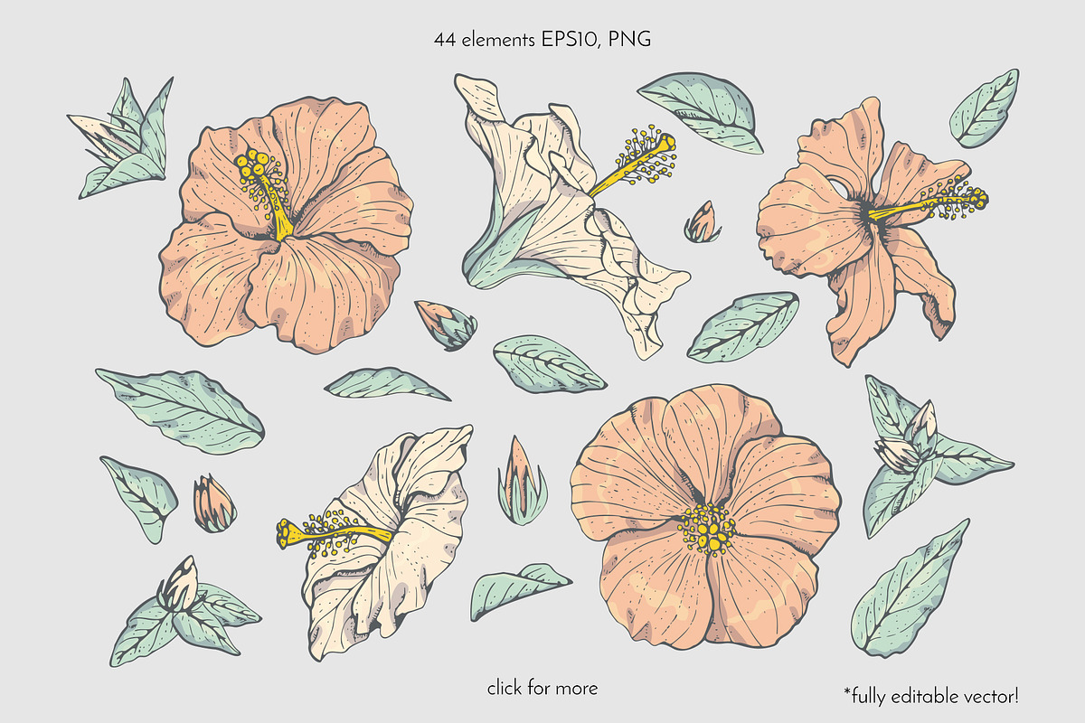 Hibiscus Line Drawing Floral Pattern, a Pattern Graphic by Rose Design (Photo 11 of 12)