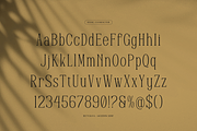 Reftoliya | Modern Serif Font, a Serif Font by gracetype_studio (Thumbnail 10 of 12)