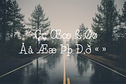 Pine Tall serif font, a Serif Font by TNE Designs (Thumbnail 4 of 5)