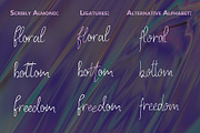 Scribly Almond Font Duo + Extras, a Script Font by Chimerique (Thumbnail 10 of 13)