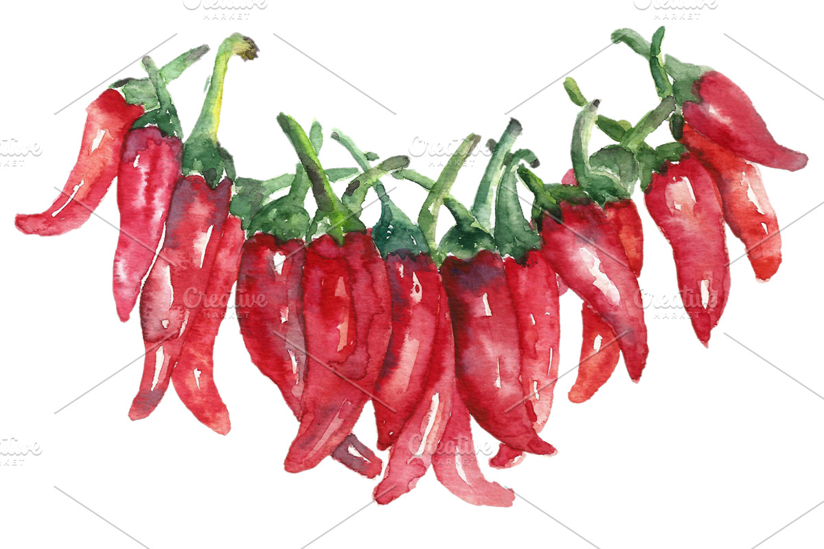 Watercolor set of Mexico., a Food Illustration by Vikeriya (Photo 5 of 5)
