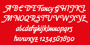 EveningNews, a Font by Wiescher-Design (Thumbnail 4 of 4)