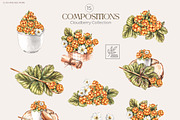 Cloudberry. Watercolor collection, a Food Illustration by SashaKondr (Thumbnail 10 of 13)