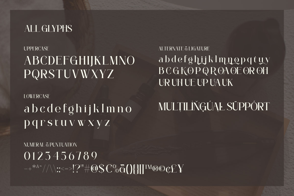 Agasya - Modern Serif Font, a Serif Font by twinstd (Photo 4 of 9)