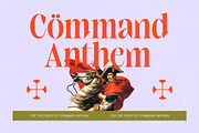 Elinkos Bold Tall Serif, a Serif Font by timelesstype.co (Thumbnail 4 of 10)