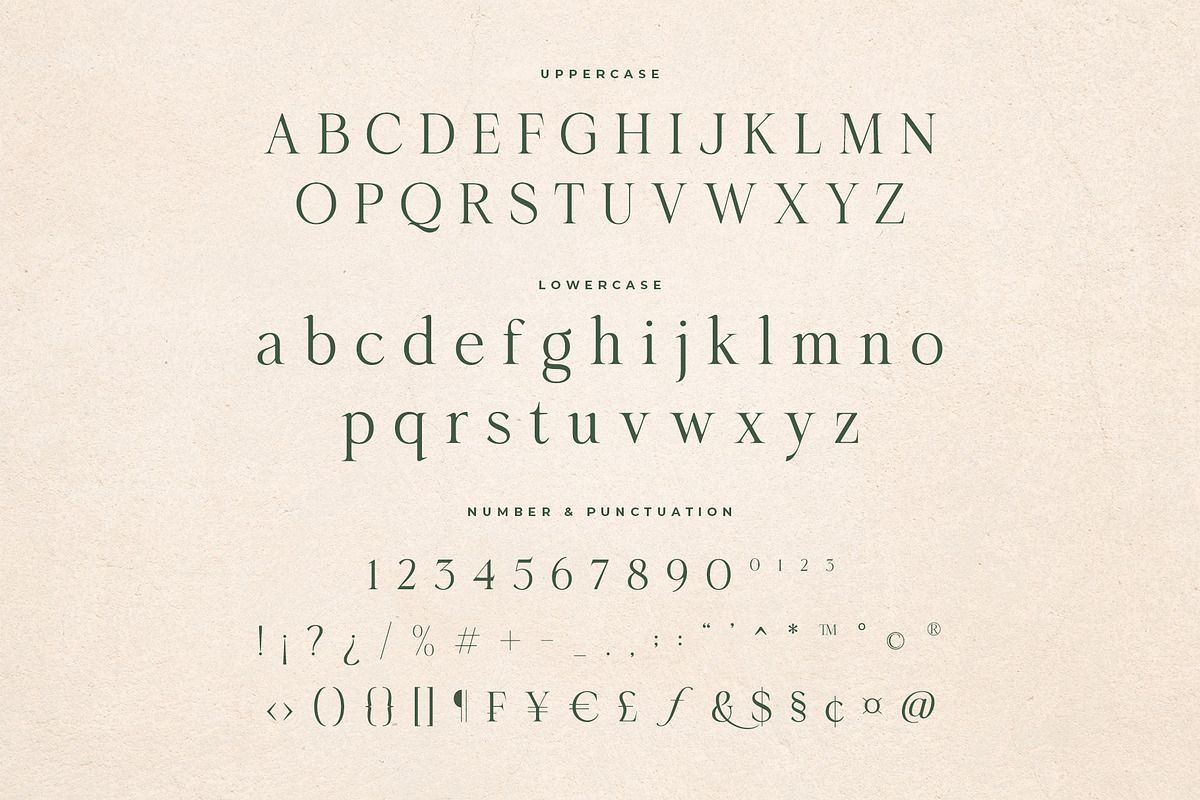 Merona Heavens | Ligature Serif, a Serif Font by Krismagraph (Photo 9 of 12)