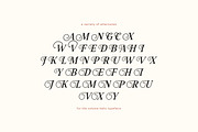 Volume – Handcrafted Font Trio, a Serif Font by Tom Chalky (Thumbnail 5 of 6)