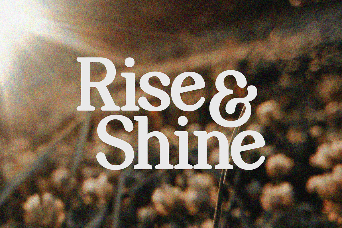 Perfect Mangue | Serif Duo Font, a Serif Font by Typoraith Co (Photo 5 of 10)