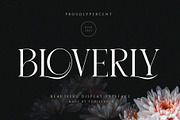 Beautiful Fonts Bundle, a Serif Font by ToniStudio (Thumbnail 5 of 13)