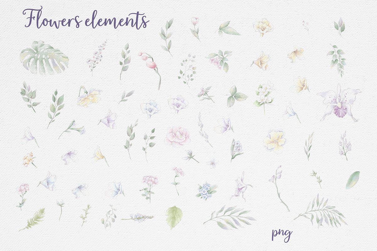 Watercolor flowers Orchids clipart, an Illustration by Yuliya Art (Photo 8 of 18)