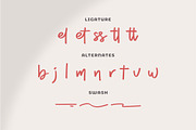 Dhel Fyn | Handwriting Script Font, a Script Font by gracetype_studio (Thumbnail 12 of 13)
