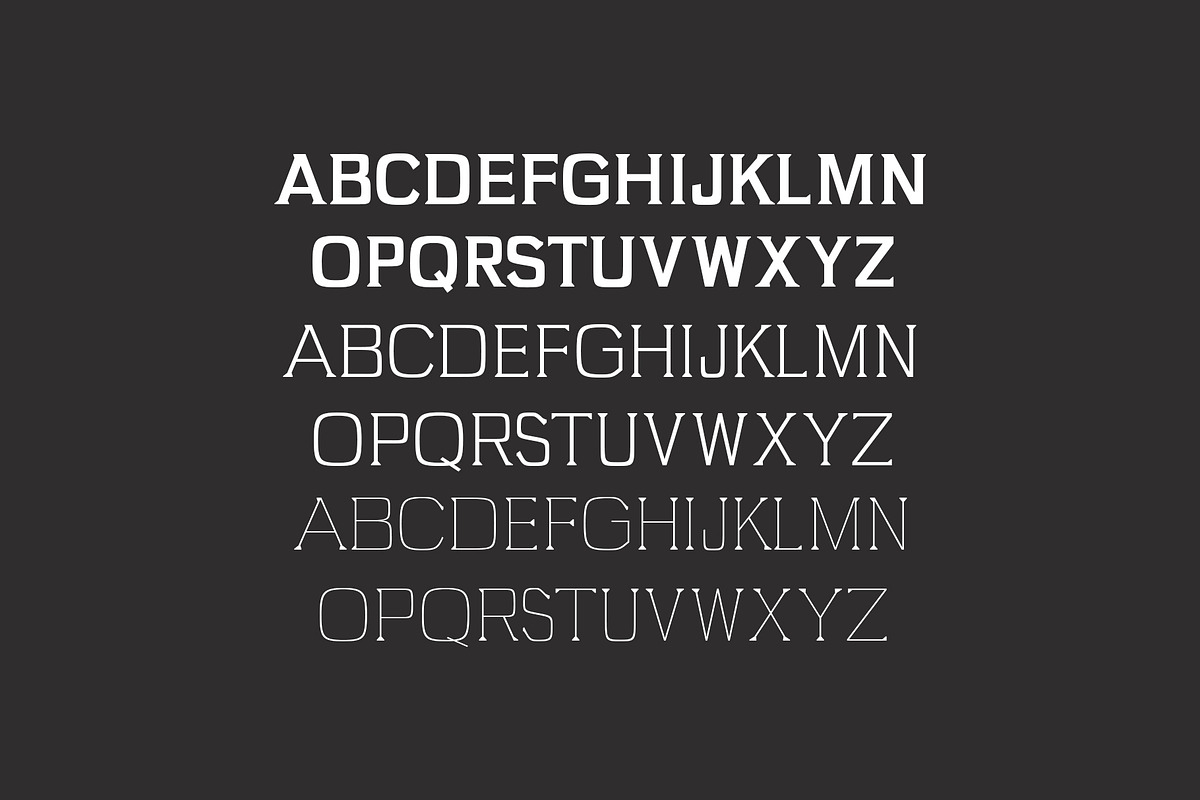 Brydon Serif Font Family Pack preview 4