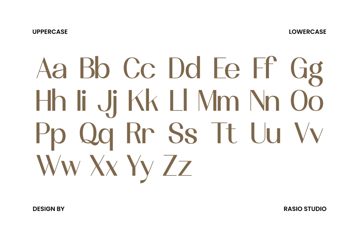 Vermica Modern Elegant Sans Font, a Sans Serif Font by Rasio Studio (Photo 2 of 11)