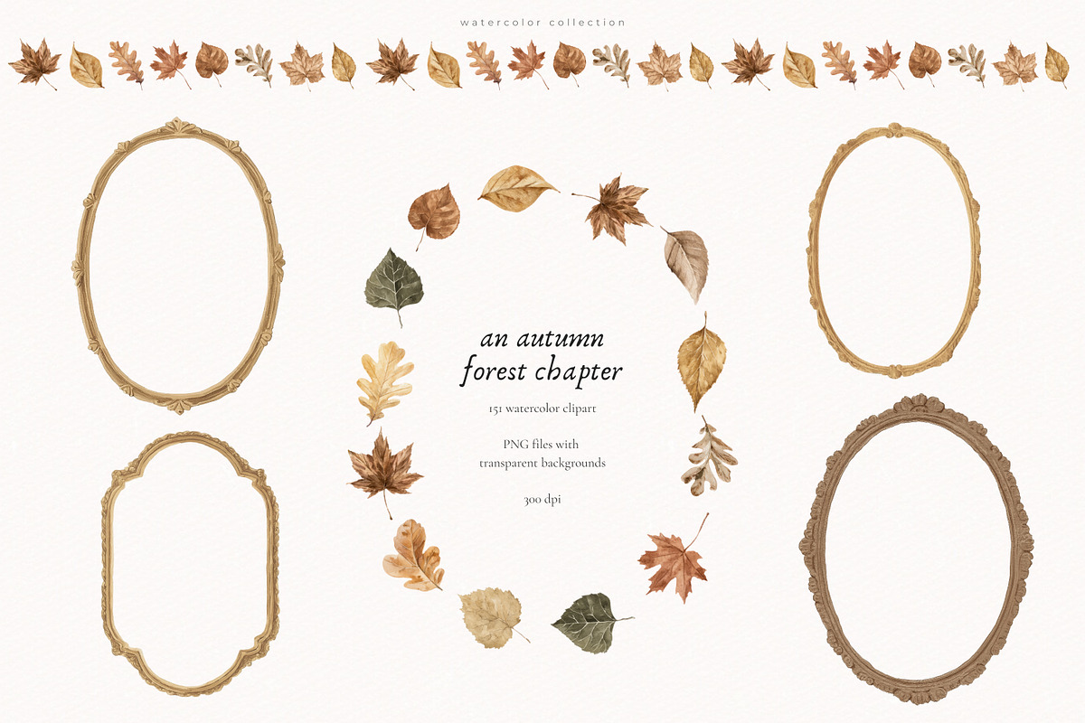 An Autumn Forest Chapter Collection, an Animal Illustration by PeDe Designs (Photo 18 of 29)