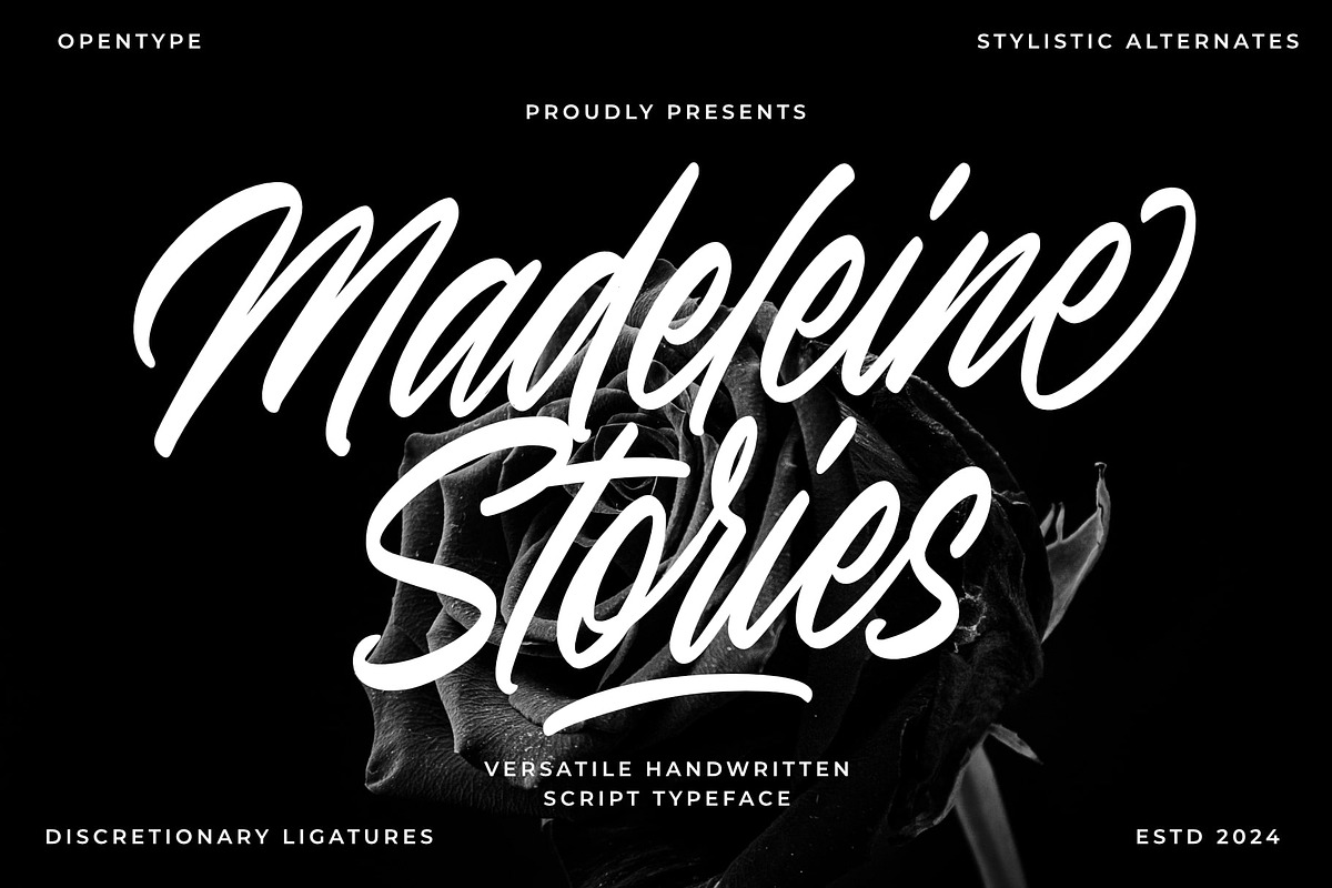 Madeleine Stories, a Handwritten Font by Damarletter (Photo 1 of 8)
