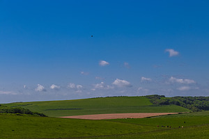 Undulating green hills and fields under a bright blue sky, vast rural landscape, a Photo by Studio ANNA