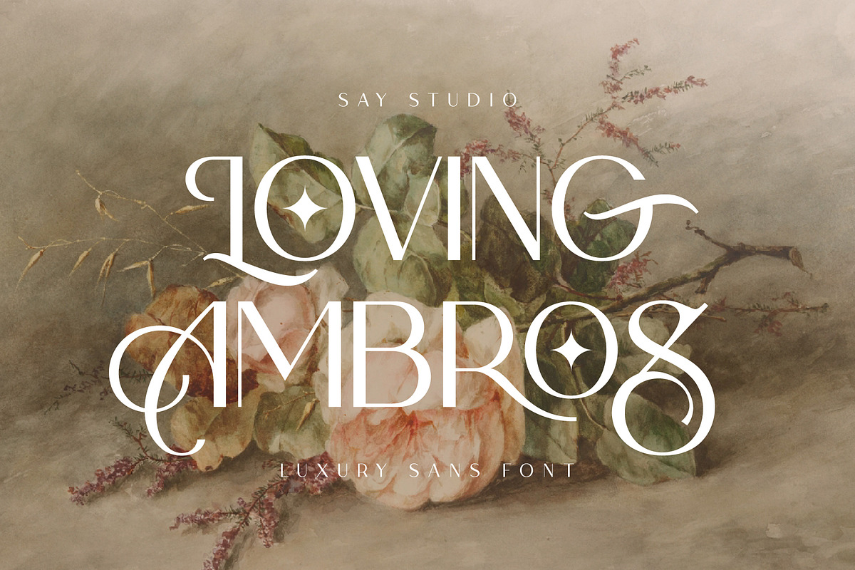 Loving Ambros, a Sans Serif Font by Say Studio (Photo 1 of 15)