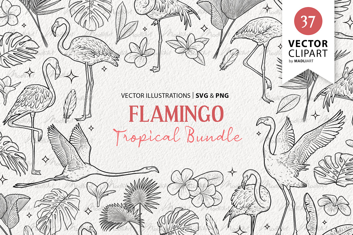 Tropical Flamingo Vector Line Art, an Animal Illustration by MadliArt (Photo 1 of 4)