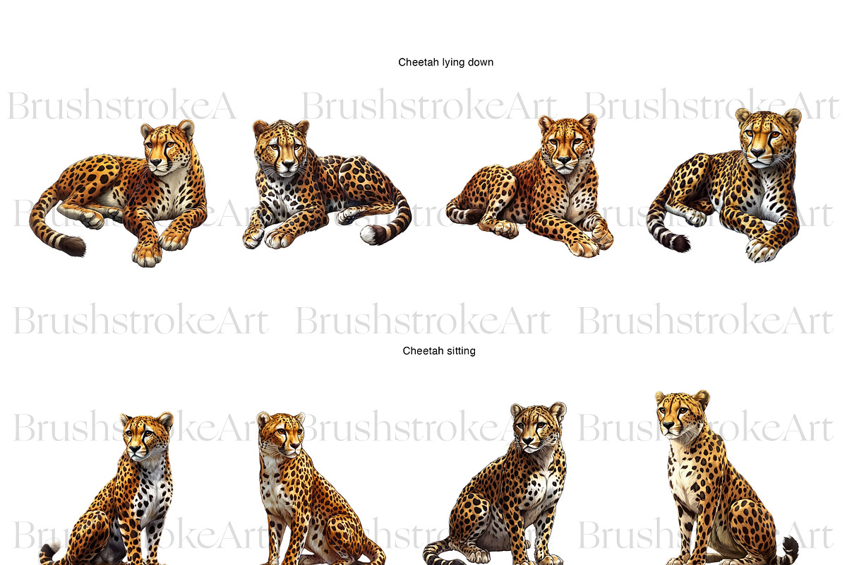 Cheetah Clipart, Wild Cat, Cheetah, an Animal Illustration by BrushstrokeArtGB (Photo 6 of 9)