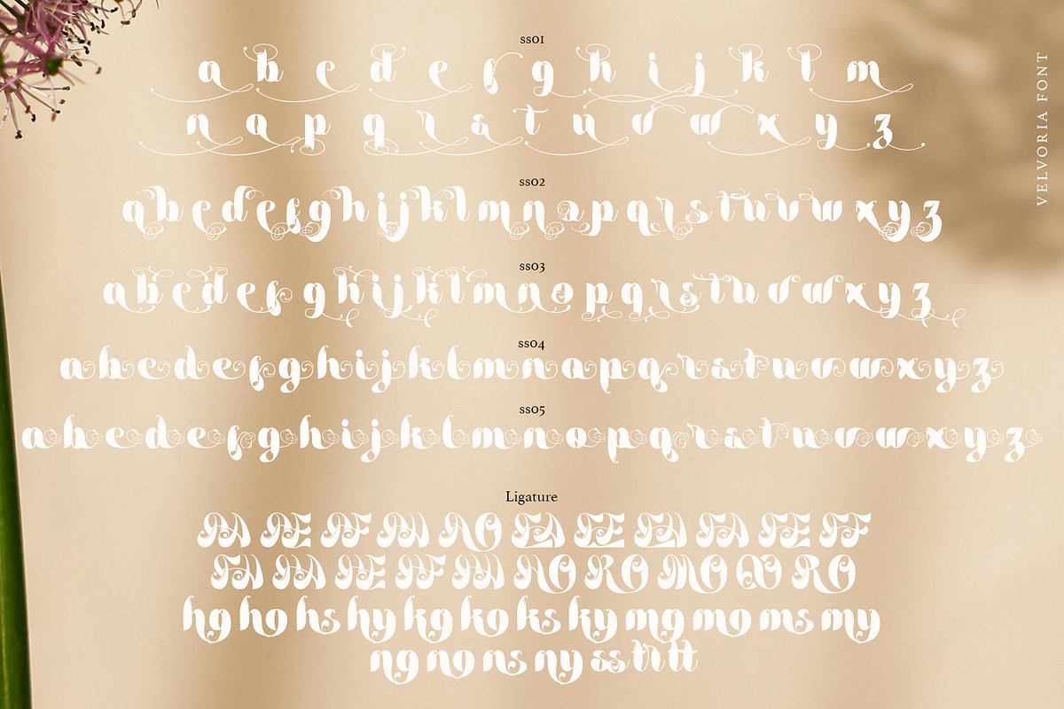 Velvoria Script, a Script Font by madeDeduk (Photo 10 of 10)