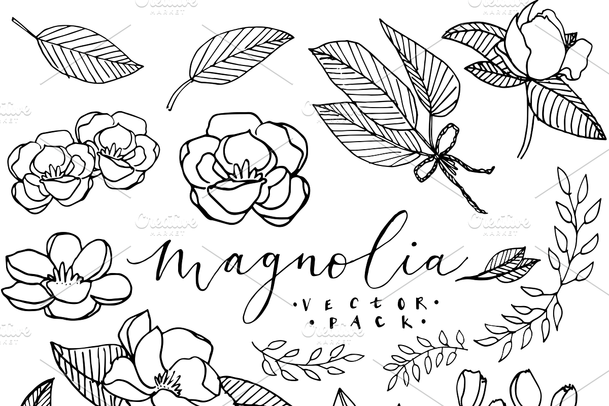 20+ Magnolia Flower Illustrations, an Illustration by The Higgins Creative (Photo 2 of 3)
