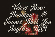 Brellight Elegant Script Font, a Script Font by timelesstype.co (Thumbnail 6 of 20)