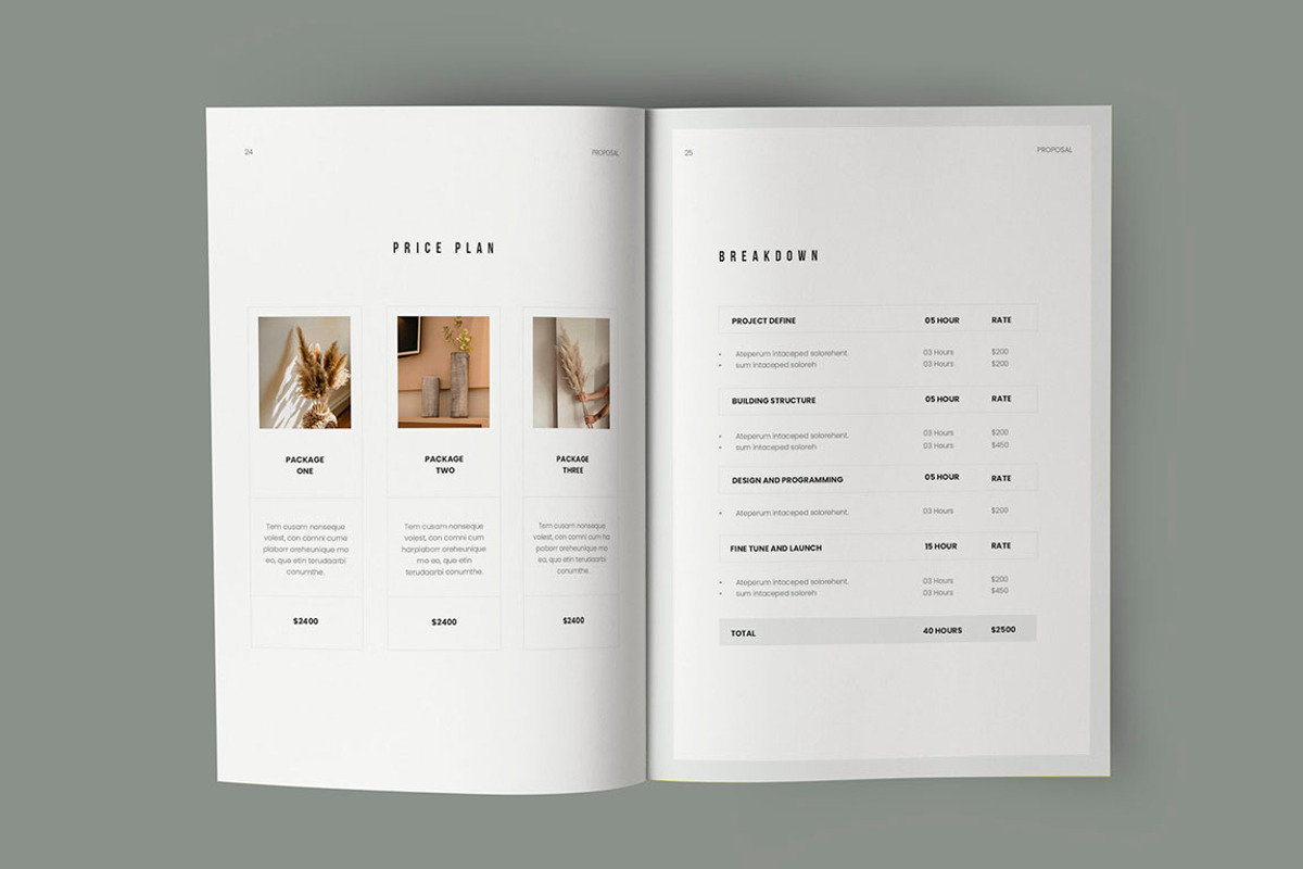 Business Proposal Template, a Brochure Template by HR Studio (Photo 13 of 14)