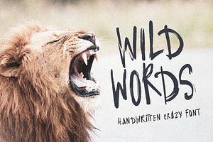 Wild Words Handwritten Textured Font